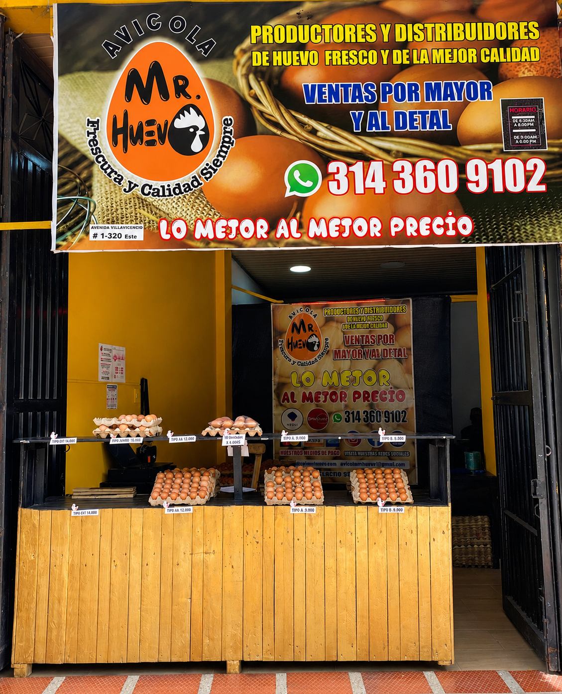 Distribución confiable de huevos frescos para tu negocio local