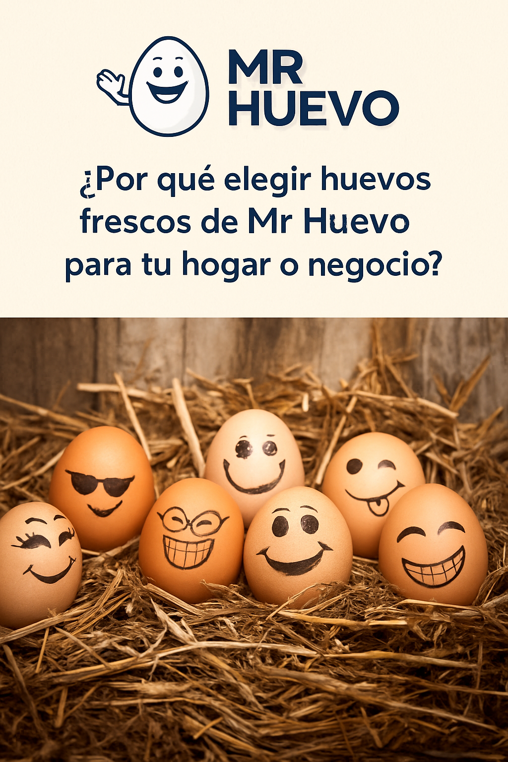 ¿Por qué elegir huevos frescos de Mr Huevo para tu hogar o negocio?