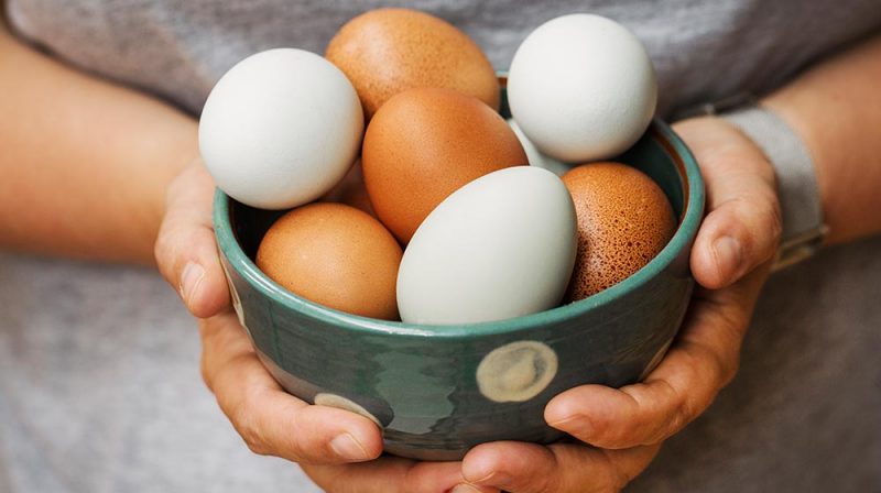 Por qué elegir huevos frescos y locales mejora tu día a día